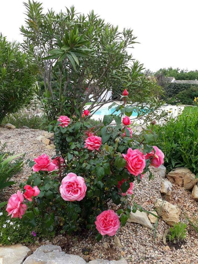 Bed and Breakfast La Colombe Tourrettes Exterior foto